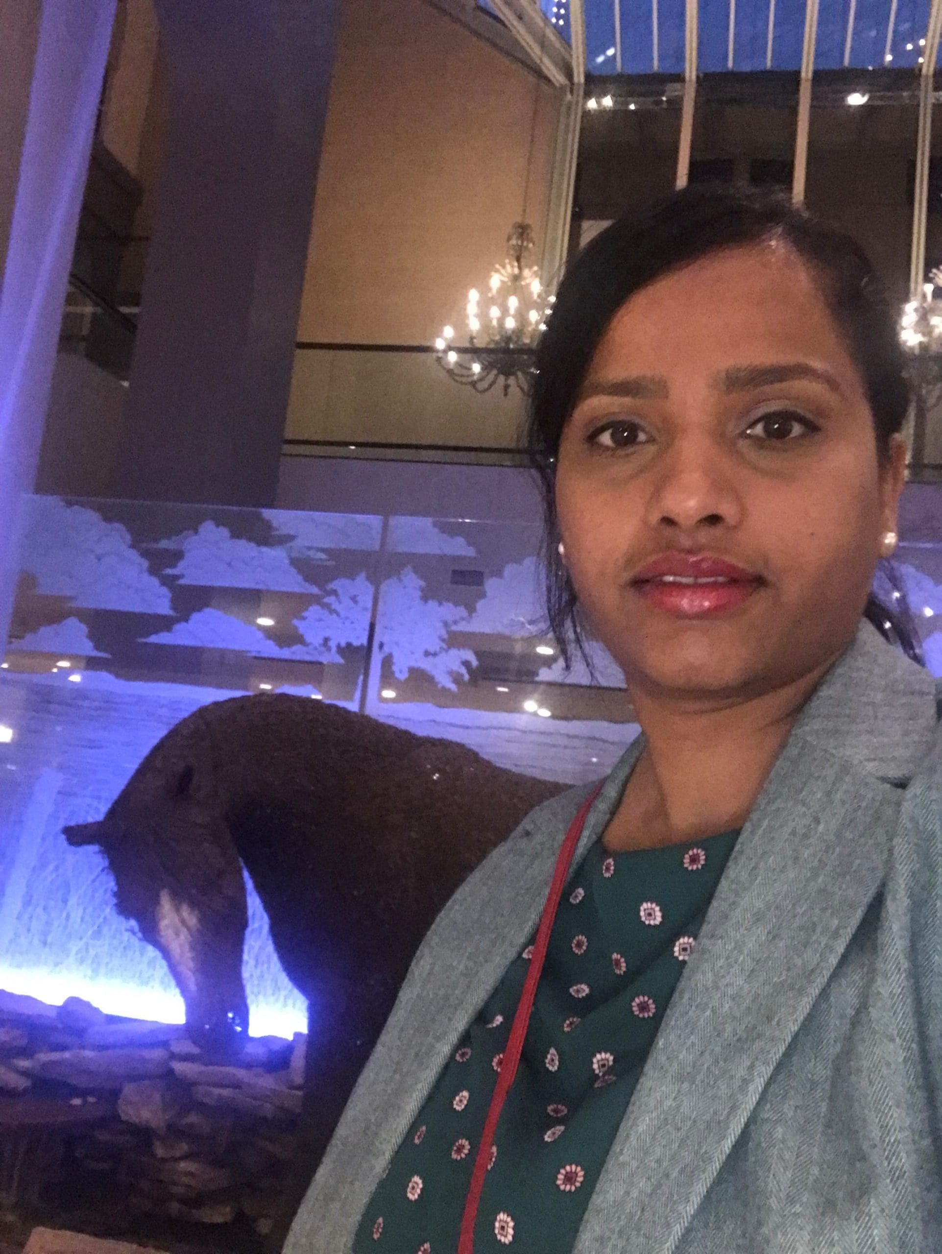 Dr. Deepthi Bibinagar